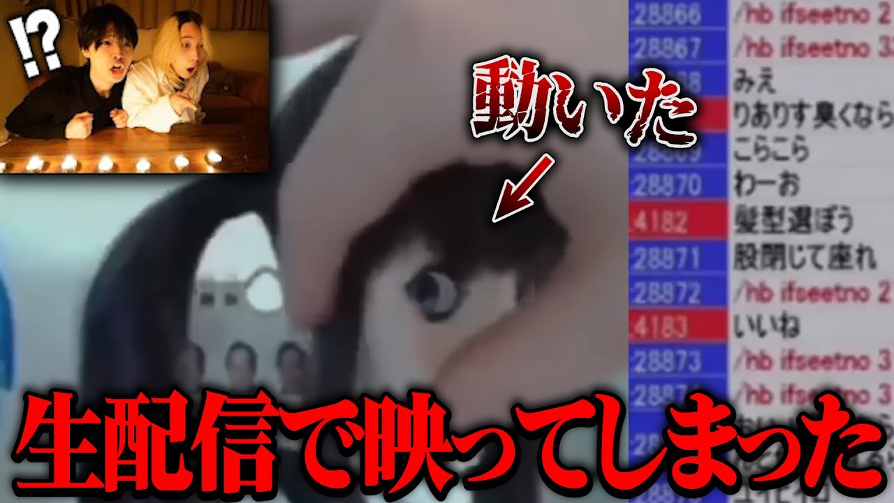 【ガチ】幽霊に呪われた人形たちが怖すぎて泣いた...