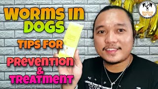 worms in dogs tips for prevention & treatment(DEWORM)