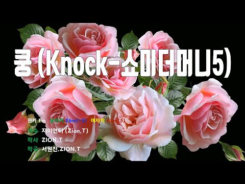 [은성 반주기] 쿵(Knock-쇼미더머니5) - 자이언티(Zion.T)