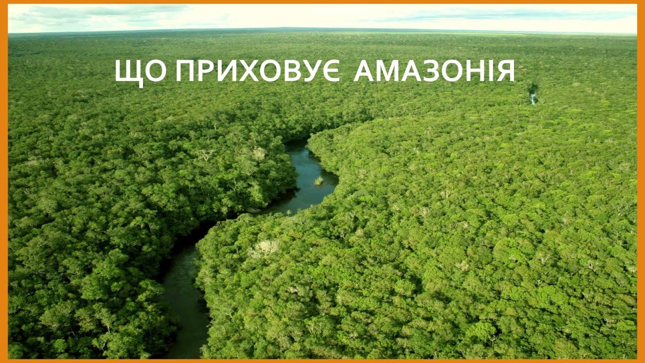 Пізнаємо природу 6 кл №65