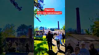 ОДЕССА❗️ЧТО ТАМ ПРОИСХОДИТ❓#SHORTS #SHORTVIDEO #ODESSA #ОДЕССА #SHORT #SHORTSVIDEO