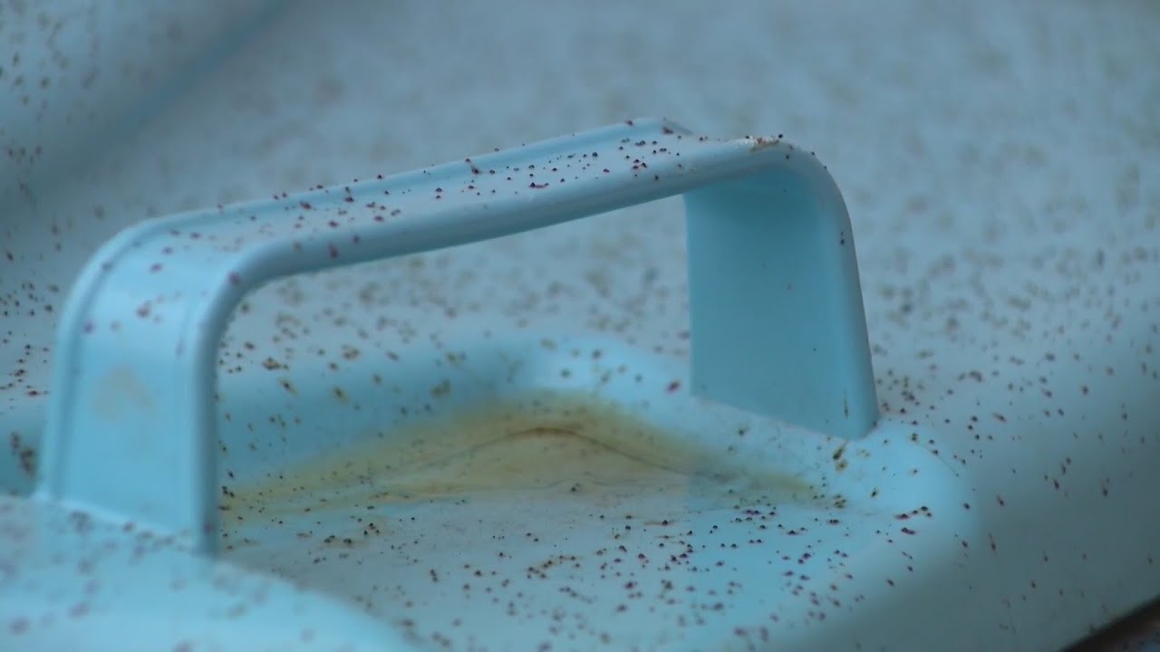 Clean-up continues in La Salle after Carus Chemical plant explosion