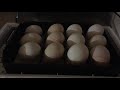Инкубация индюшиных яиц. Закладка индюшиных яиц в китайский инкубатор HHD на 12 яиц.