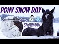 PONY PLAYTIME IN THE SNOW ~ Horse Vs Snowman