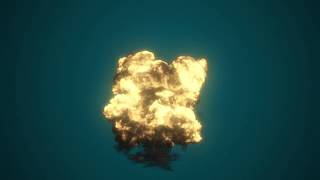 Large scale explosion
