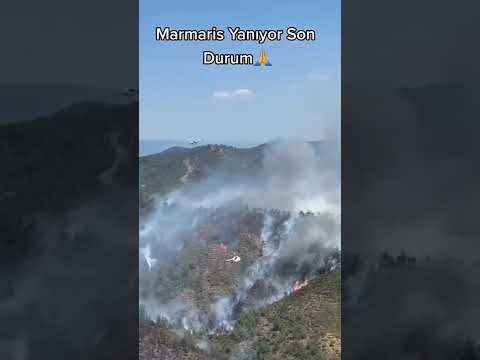 Video: Yanan benzin neden suyla söndürülemez? Hadi bulalım