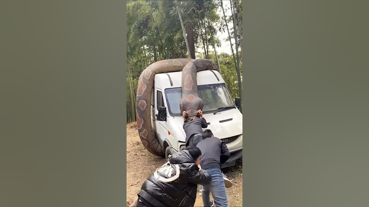 Anaconda hunting in Human #anaconda #animals #short