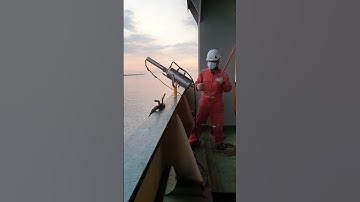 Heaving line throwing gun