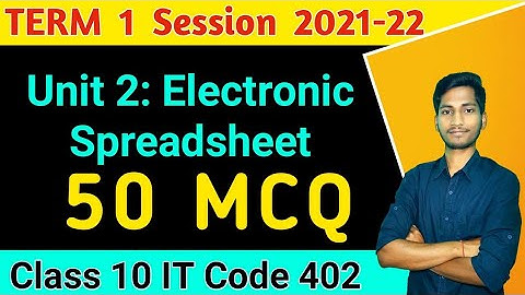 Term 1 Most Important MCQ| Electronic Spreadsheet Class 10 MCQ | IT Code 402