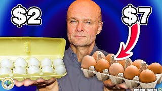 Are Expensive Eggs Really Worth It? Dr Ekberg