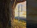 あとどれだけ【生きられるのだろう】 #言葉 #名言 #心に響く言葉 #人生