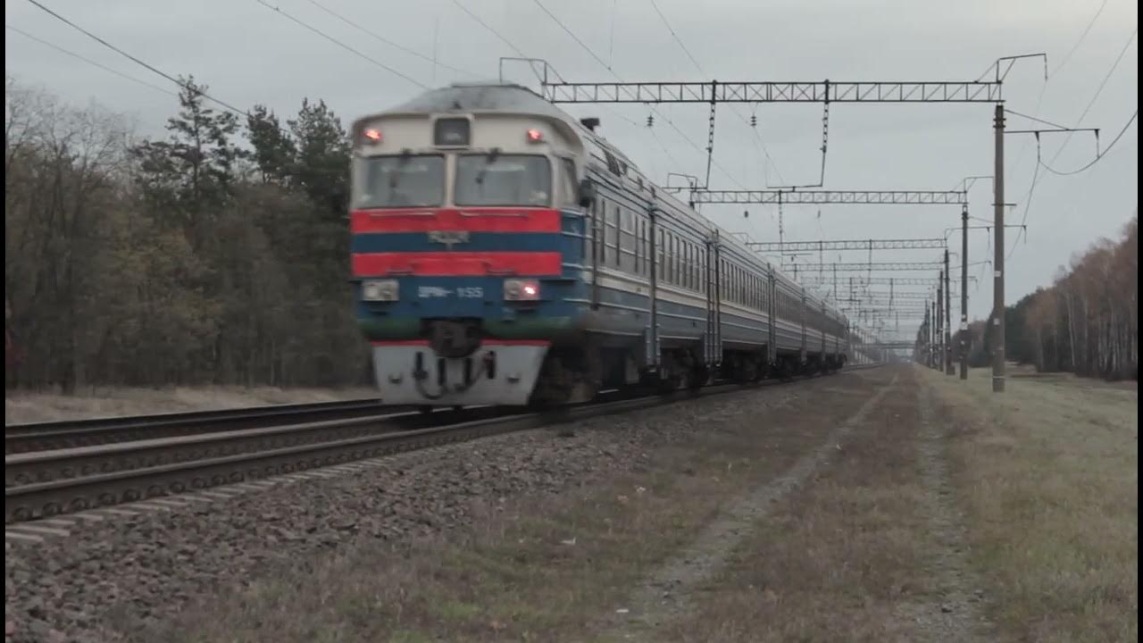 ДР1А-155 с поездом Брест Центральный - Лунинец на перегоне Брест ...
