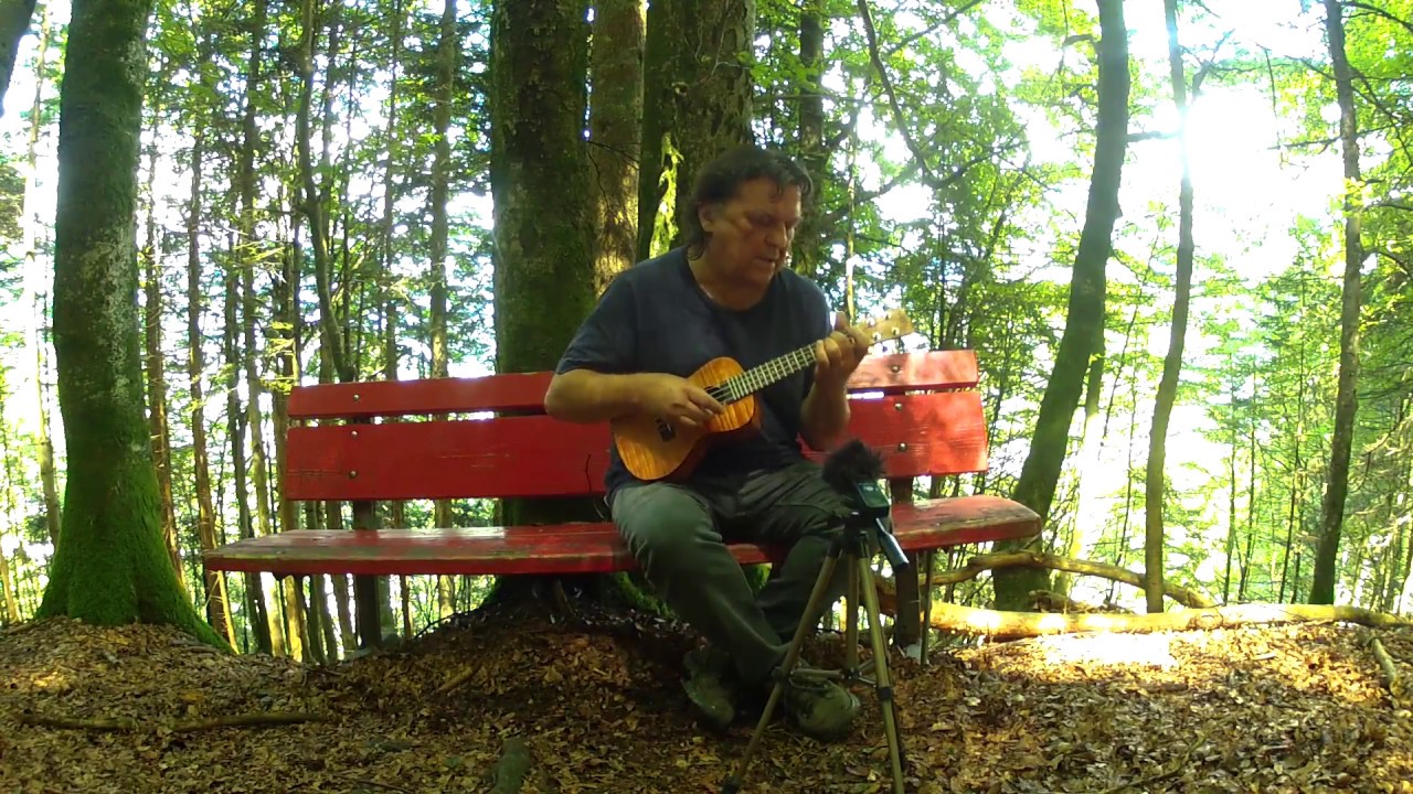 THE SOUND OF SILENCE (Simon & Garfunkel) Fingerstyle Ukulele YouTube