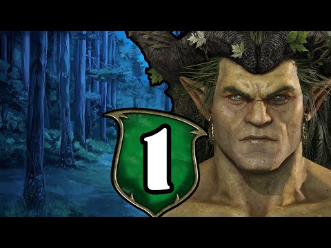 Видео: ИЗОЛЯЦИЯ ОКОНЧЕНА - Total War Warhammer 2 - Прохождение за лесных эльфов #1
