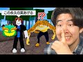 初心者のふりしてレアな永久の実を突然渡してみたら ブロックスフルーツ BloxFruits 初心者のふりしてレアな永久の実を突然渡してみたら ブロックスフルーツ BloxFruits