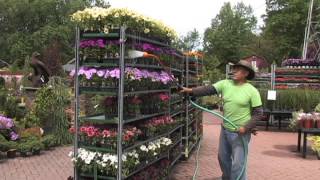 Richfield Farms Spring
