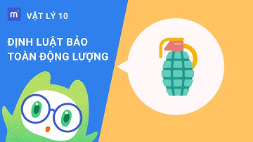 Động lượng & Định luật bảo toàn Động lượng | Vật Lý lớp 10