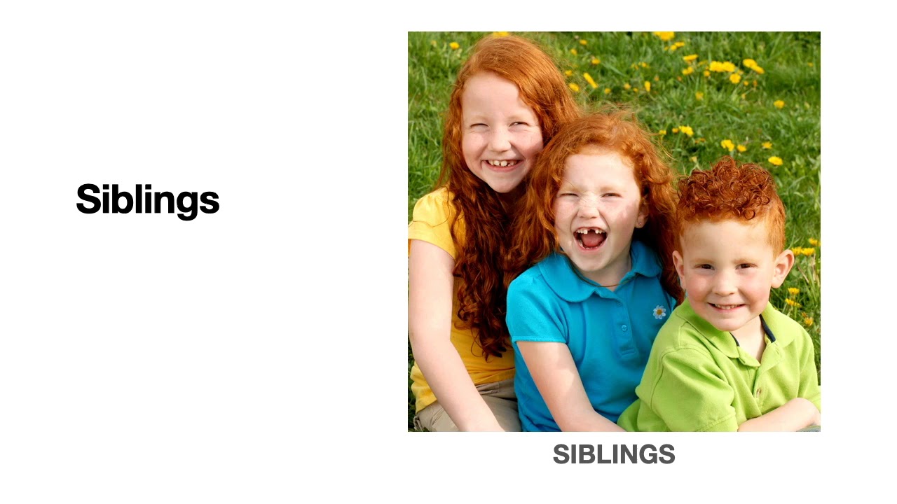 Family Vocabulary - YouTube