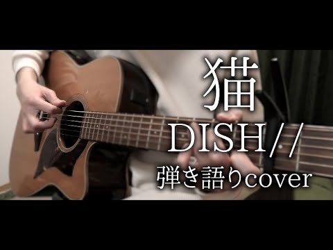 猫 / DISH//【弾き語りcover】
