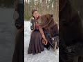 Томик наслаждается чаем и встречает медведя 🐻