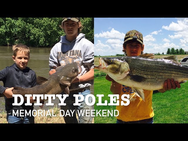 bank pole fishing in iowa Ditty Poles | How To Catch Flatheads | Iowa River | Ted Zangerle