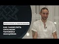 Как закислить организм человека эмоциями