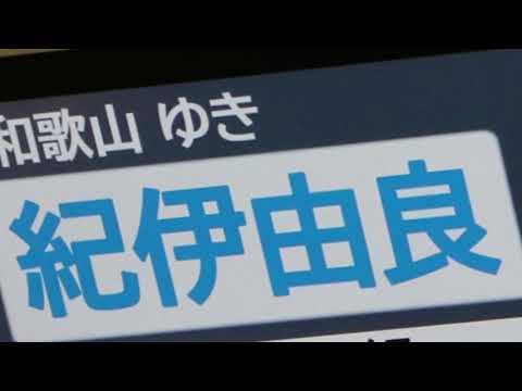 紀伊きいキイきイキいきイきい紀伊です