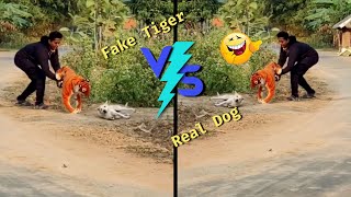 Big Fake Tiger VS Prank Dogs - Must Watch | Funny Video Will Make You Laugh 😂🤣