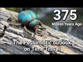 375 MYA The pessimistic outlook on Time Travel