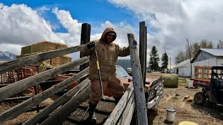 Upgrading Our Corrals And Fencing Projects