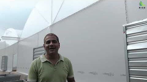 Rise Hydroponics Commercial Turnkey Project - Fan & Pad Polyhouse, NFT System at Gurgaon, Haryana