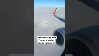 Оптический эффект Глория в полёте, всегда красиво 😍