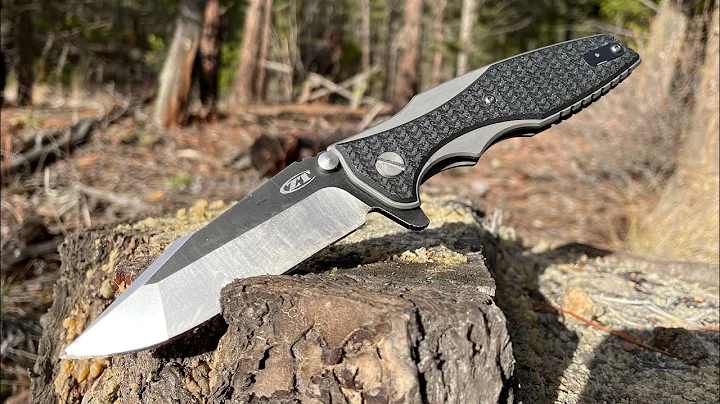 ZT 0393 - g10 scales