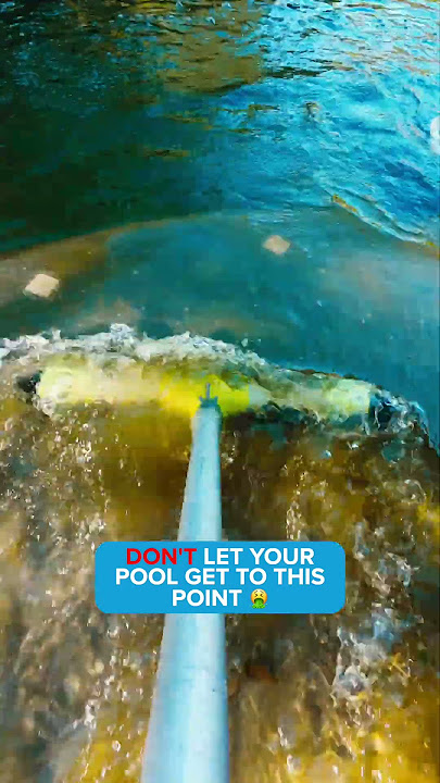 🦠This isn’t just a little algae… it’s a full-blown ecosystem.  You should've called us sooner.