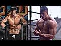 Best calisthenics explosive moves 2019