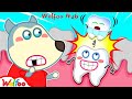 Why do baby teeth become wobbly teeth wolfoo  funny stories about wobbly tooth kids  wolfoo hub