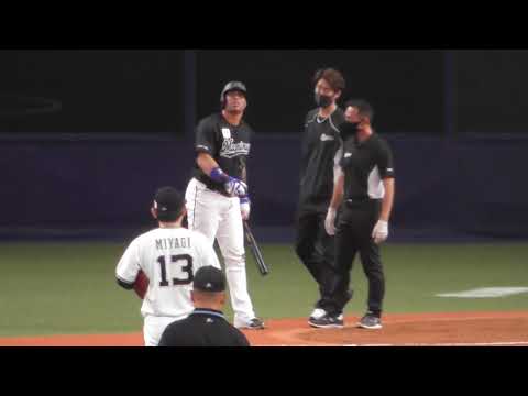 激しく痛がる【マーティン】2021.10.14