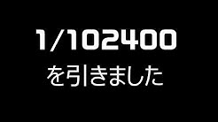 パピヨン Ch Youtube