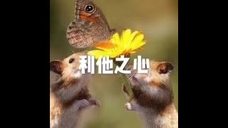 201605 利他之心20554