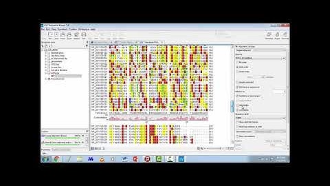 Multiple Sequence Alignment using CLC viewer Tool Tutorials