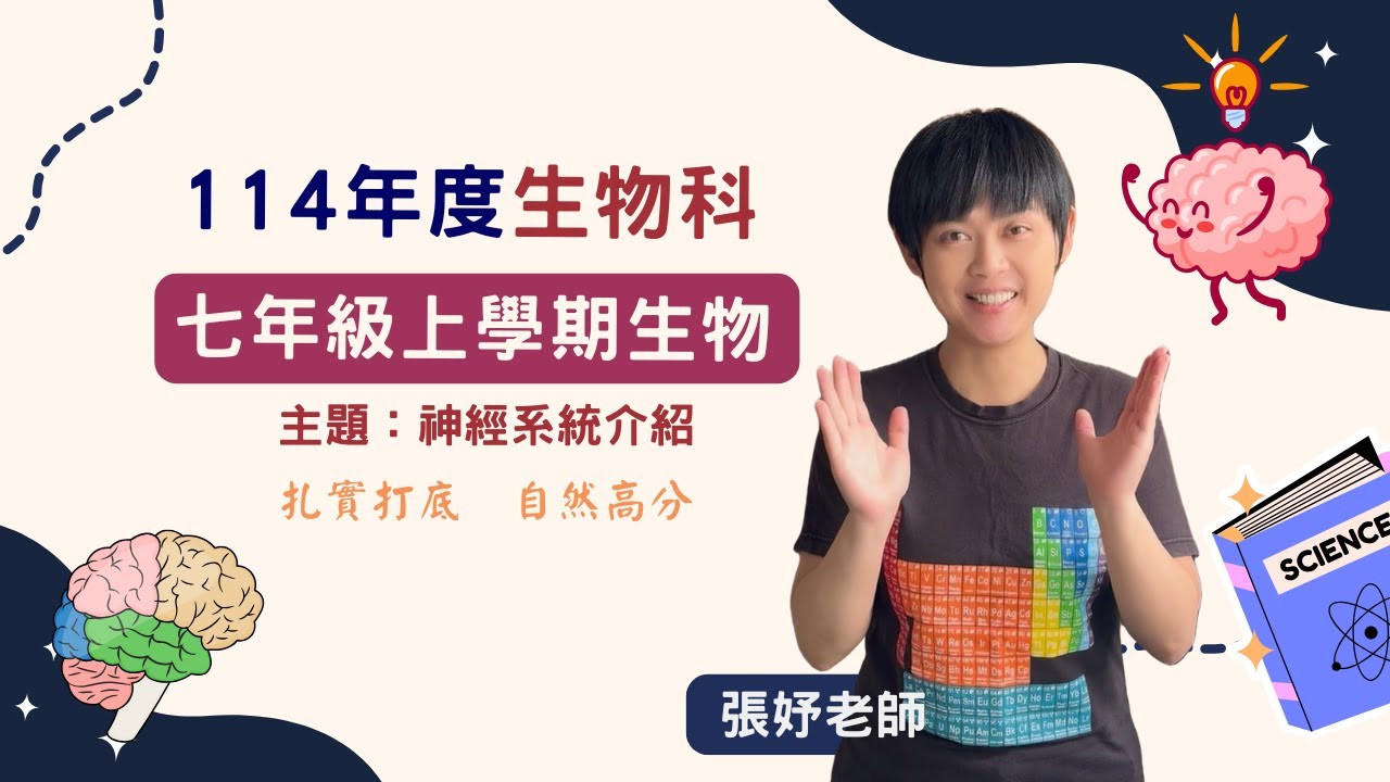 【七年級生物】神經系統到底有什麼重點？中樞神經、周圍神經一次搞懂（考試高分必看）