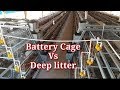 Battery Cage System Verses Deep Litter System. I Poultry farming in Kenya