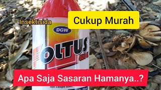 Insektisida Murah tapi berkuaitas _ Foltus 400 SL