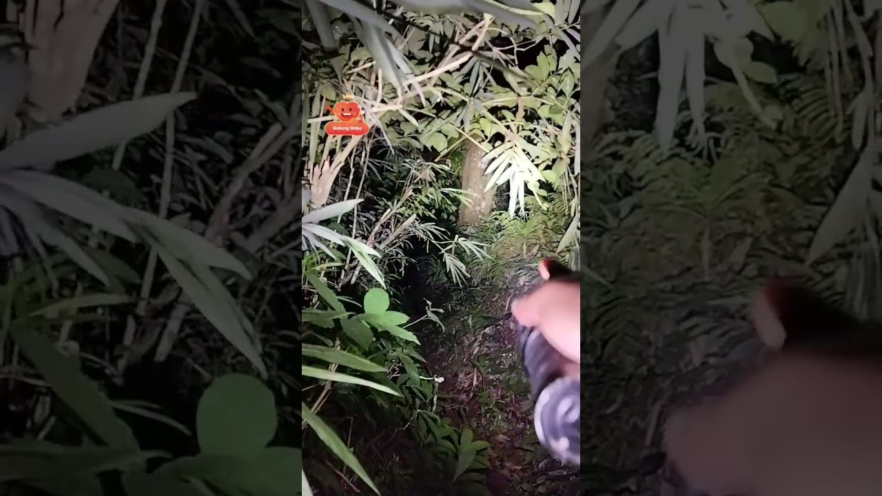 JRO PRADIPTA TUMBANG DI SIDEMEN