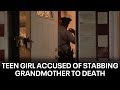 Philadelphia teen accused of stabbing her grandmother to death