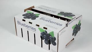 Durable Vegetable & Fruit Box | Fresh Produce Packaging Solution!