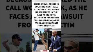 CHRIS BROWN'S COURT ADMISSION. 😳⚖️#ChrisBrown #News #Court #Lawsuit #CelebrityNews #Viral #Trending