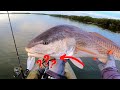 THIS New Shrimp Lure Catches MONSTERS (Drag Screaming Action!!)