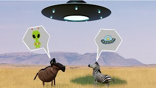 Savanna version - UFO by Liuyu Animation 19,928 views 9 months ago 1 minute, 35 seconds