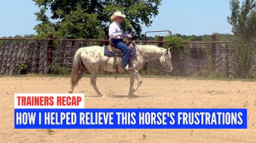D/C  RECAP  |  How a Frustrated Horse can Feel Relief and Be Willing